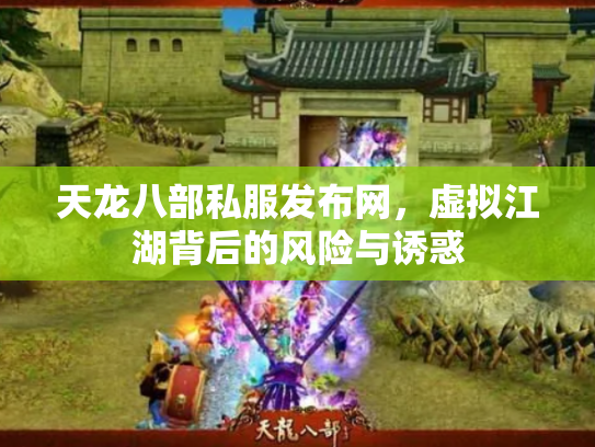 天龙八部私服发布网，虚拟江湖背后的风险与诱惑