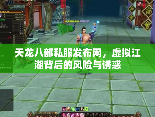 天龙八部私服发布网，虚拟江湖背后的风险与诱惑