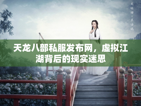 天龙八部私服发布网，虚拟江湖背后的现实迷思