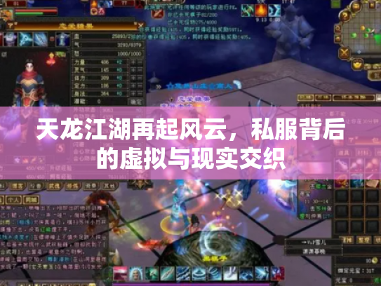 天龙江湖再起风云，私服背后的虚拟与现实交织