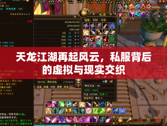 天龙江湖再起风云，私服背后的虚拟与现实交织