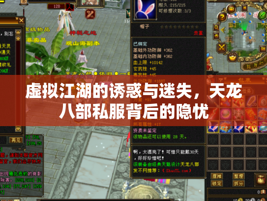 虚拟江湖的诱惑与迷失，天龙八部私服背后的隐忧