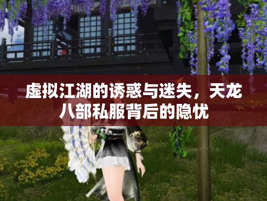 虚拟江湖的诱惑与迷失，天龙八部私服背后的隐忧