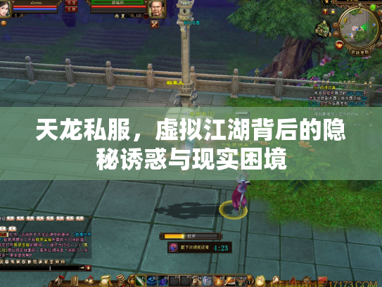 天龙私服，虚拟江湖背后的隐秘诱惑与现实困境