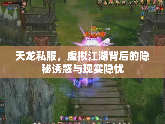 天龙私服，虚拟江湖背后的隐秘诱惑与现实隐忧