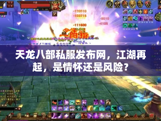 天龙八部私服发布网，江湖再起，是情怀还是风险？
