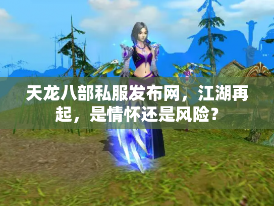 天龙八部私服发布网，江湖再起，是情怀还是风险？