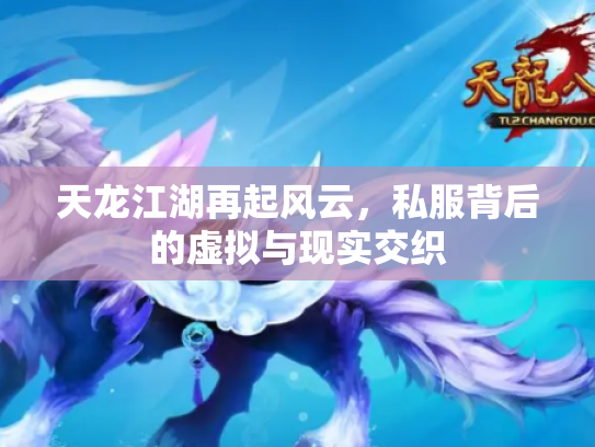 天龙江湖再起风云，私服背后的虚拟与现实交织