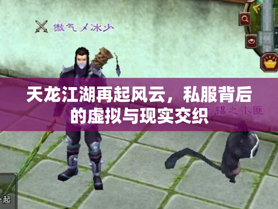 天龙江湖再起风云，私服背后的虚拟与现实交织