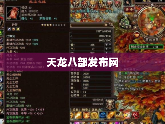 天龙八部发布网
