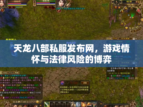 天龙八部私服发布网，游戏情怀与法律风险的博弈