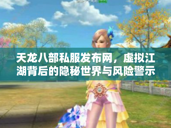 天龙八部私服发布网，虚拟江湖背后的隐秘世界与风险警示