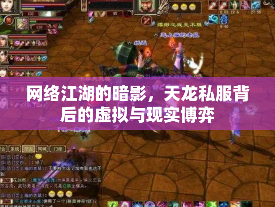 网络江湖的暗影，天龙私服背后的虚拟与现实博弈