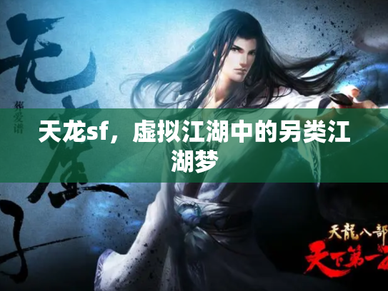 天龙sf，虚拟江湖中的另类江湖梦