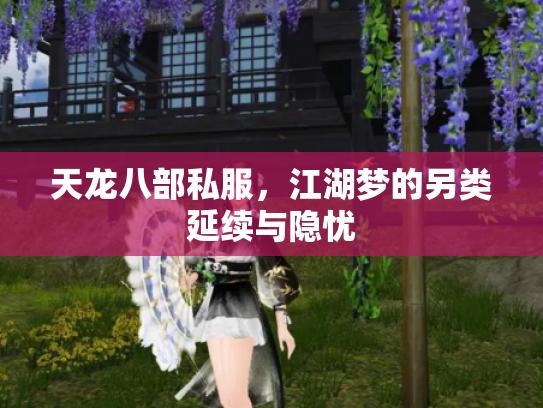 天龙八部私服，江湖梦的另类延续与隐忧