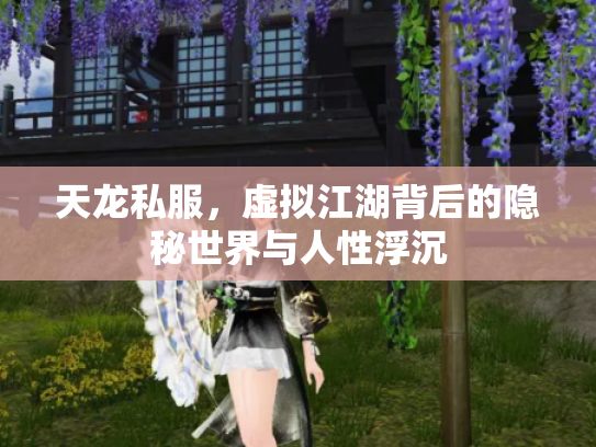 天龙私服，虚拟江湖背后的隐秘世界与人性浮沉