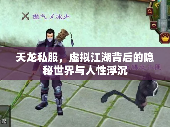 天龙私服，虚拟江湖背后的隐秘世界与人性浮沉