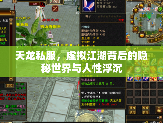 天龙私服，虚拟江湖背后的隐秘世界与人性浮沉