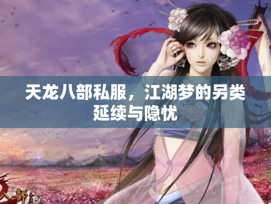天龙八部私服，江湖梦的另类延续与隐忧