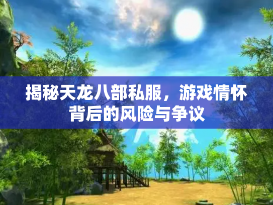 揭秘天龙八部私服，游戏情怀背后的风险与争议