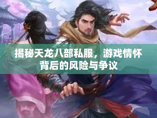 揭秘天龙八部私服，游戏情怀背后的风险与争议