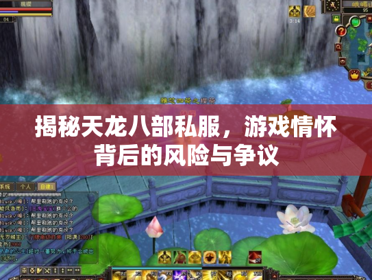 揭秘天龙八部私服，游戏情怀背后的风险与争议