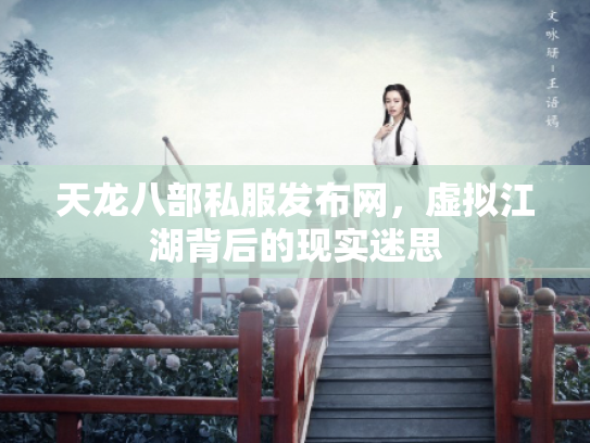 天龙八部私服发布网，虚拟江湖背后的现实迷思
