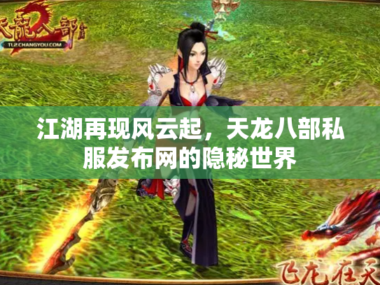 江湖再现风云起，天龙八部私服发布网的隐秘世界