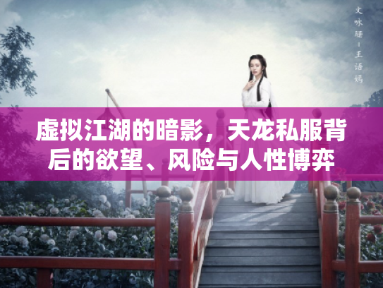 虚拟江湖的暗影，天龙私服背后的欲望、风险与人性博弈