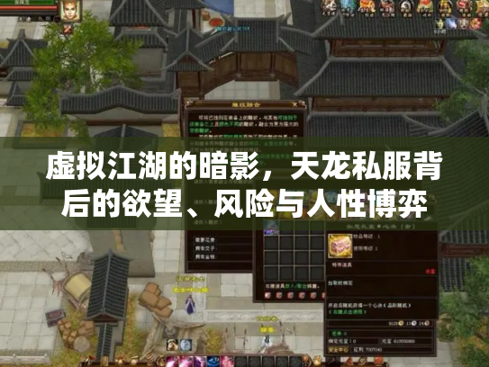 虚拟江湖的暗影，天龙私服背后的欲望、风险与人性博弈