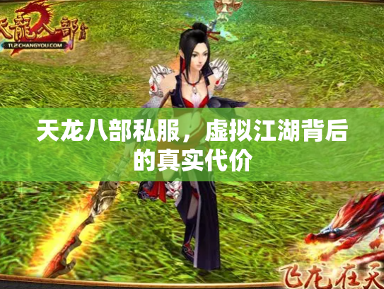 天龙八部私服，虚拟江湖背后的真实代价