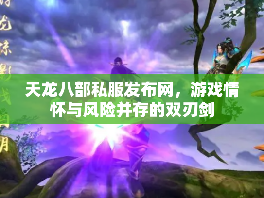 天龙八部私服发布网，游戏情怀与风险并存的双刃剑
