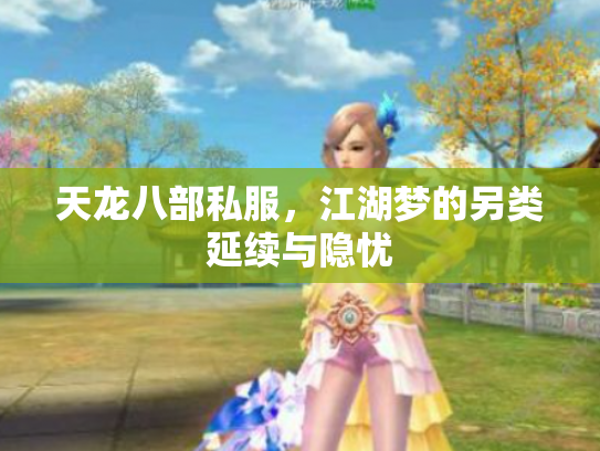 天龙八部私服，江湖梦的另类延续与隐忧