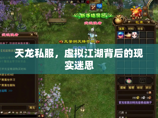 天龙私服，虚拟江湖背后的现实迷思