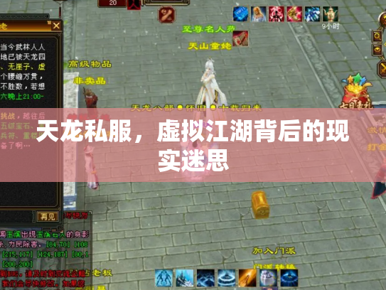 天龙私服，虚拟江湖背后的现实迷思