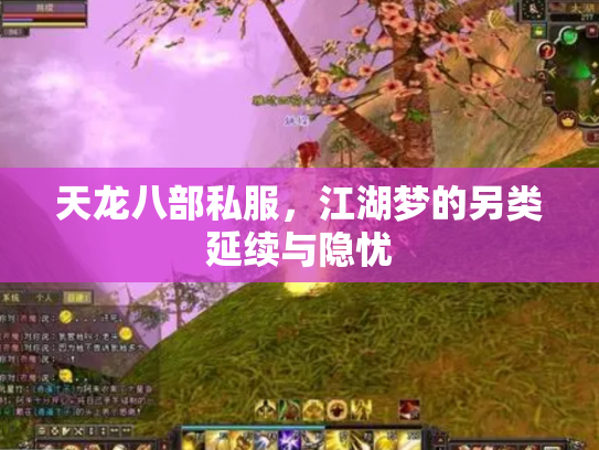 天龙八部私服，江湖梦的另类延续与隐忧