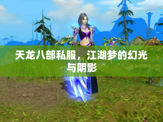 天龙八部私服，江湖梦的幻光与阴影