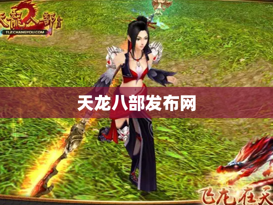 天龙八部发布网