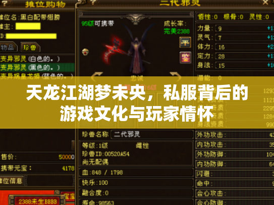 天龙江湖梦未央，私服背后的游戏文化与玩家情怀