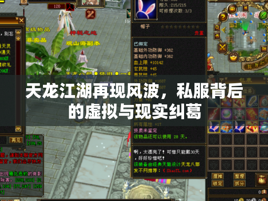 天龙江湖再现风波，私服背后的虚拟与现实纠葛