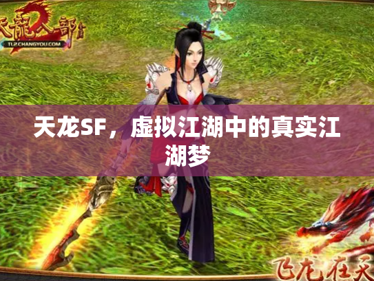 天龙SF，虚拟江湖中的真实江湖梦