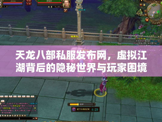 天龙八部私服发布网，虚拟江湖背后的隐秘世界与玩家困境