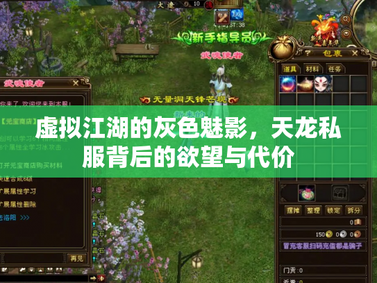 虚拟江湖的灰色魅影，天龙私服背后的欲望与代价
