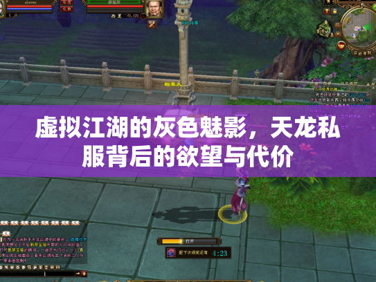 虚拟江湖的灰色魅影，天龙私服背后的欲望与代价