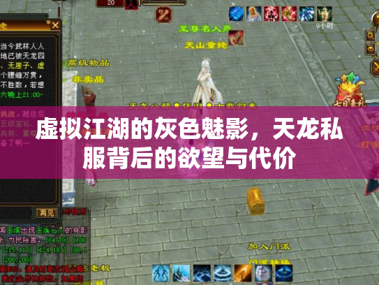 虚拟江湖的灰色魅影，天龙私服背后的欲望与代价