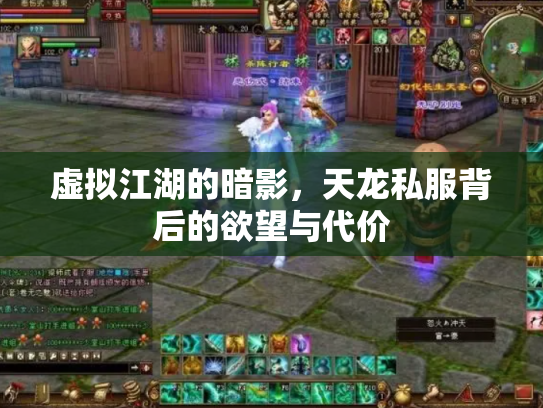 虚拟江湖的暗影，天龙私服背后的欲望与代价