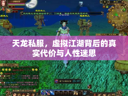 天龙私服，虚拟江湖背后的真实代价与人性迷思