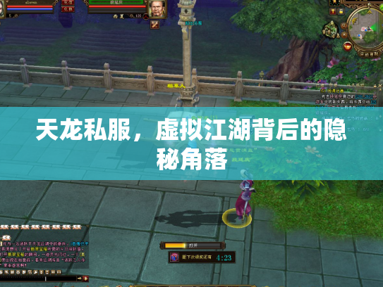 天龙私服，虚拟江湖背后的隐秘角落