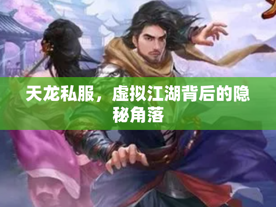 天龙私服，虚拟江湖背后的隐秘角落