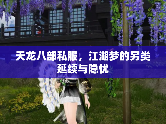 天龙八部私服，江湖梦的另类延续与隐忧